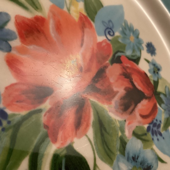 Two The Pioneer Woman plates lot - Picture 11 of 12